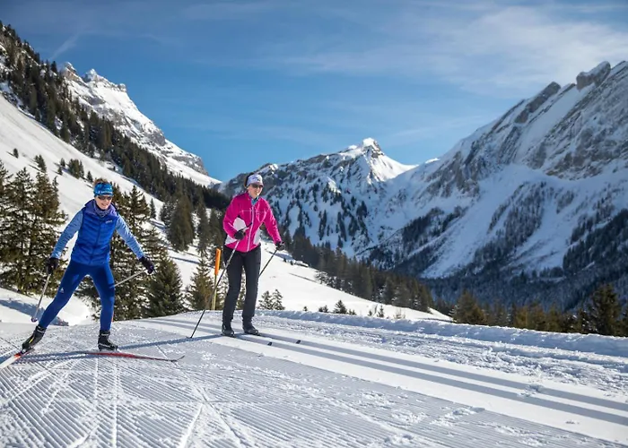 Terra Nostra A03 Apartment Gryon