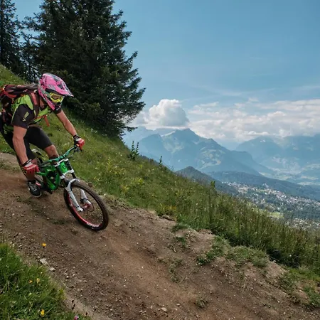 Apartament Terra Nostra A03 *