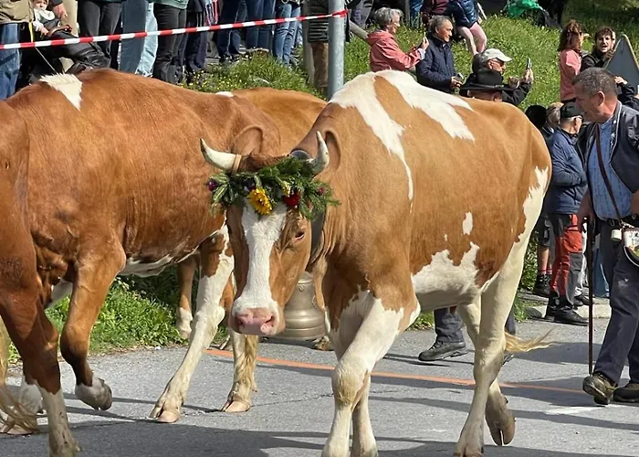 Terra Nostra A03 Gryon