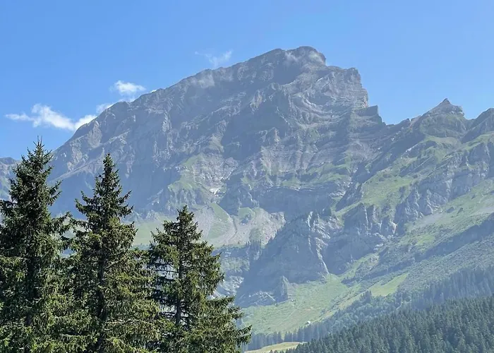 Apartament Terra Nostra A03 Gryon